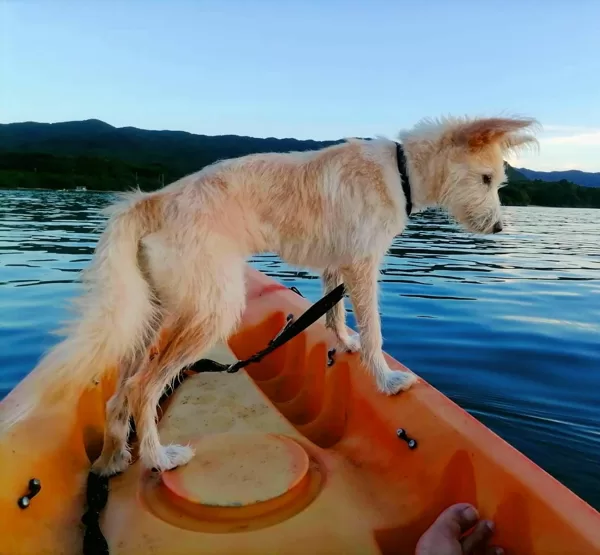 Kayaktour mit Rosi in Ishigaki