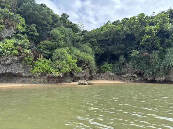 Kajaktour zum Privat Strand in Ishigaki, Okinawa
