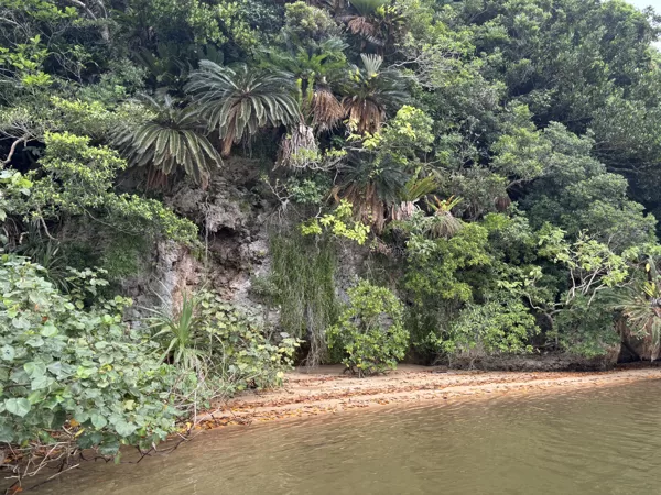 Flusslandschaft in Ishigaki
